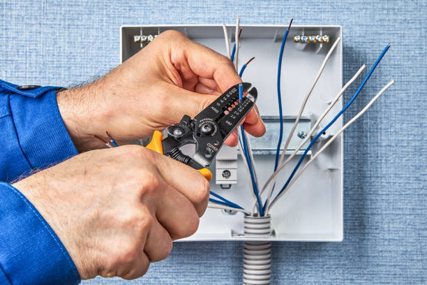 Best Electrical Remodeling Services  in Roosevelt, NJ