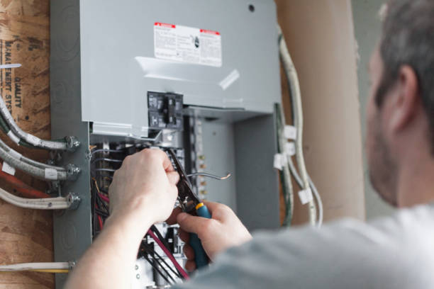 Best Electrical Panel Upgrades  in Roosevelt, NJ